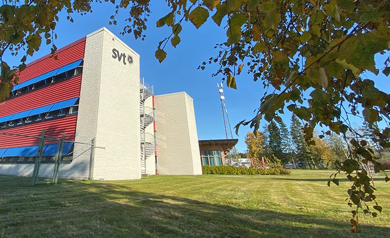 Björkfärgring omger SVT i Umeå - som sig bör i björkarnas stad.